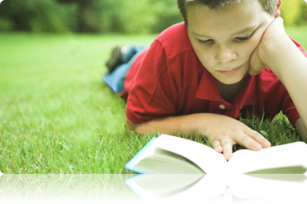 svpdp_literacy_links